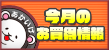 今月のお買得情報